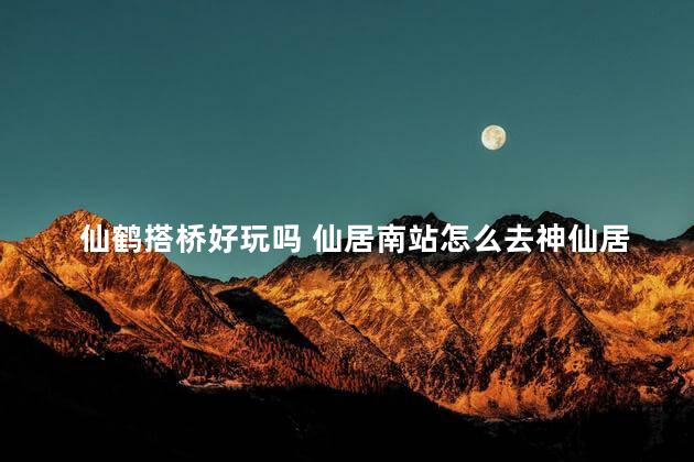 仙鹤搭桥好玩吗 仙居南站怎么去神仙居景区